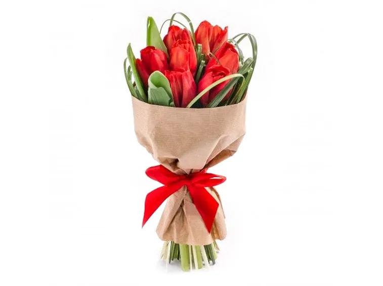Composizioni di tulipani