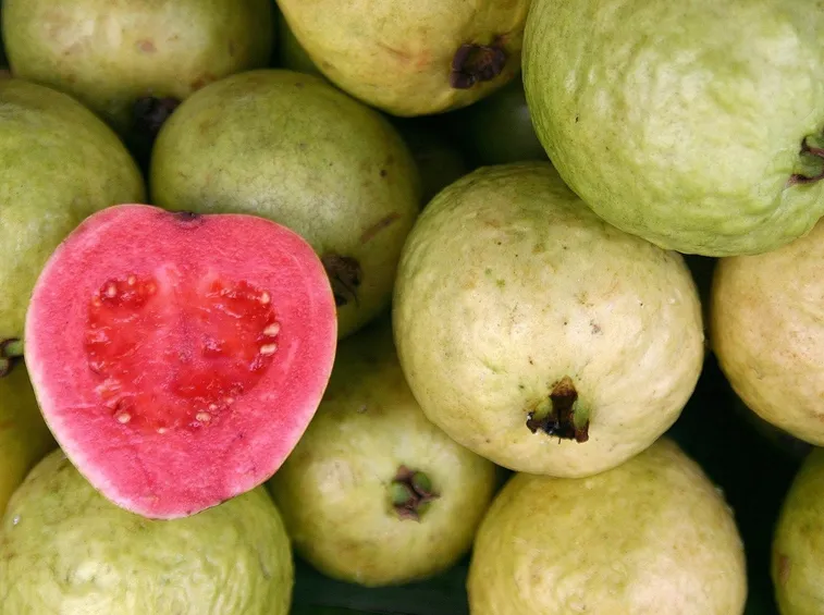 guava