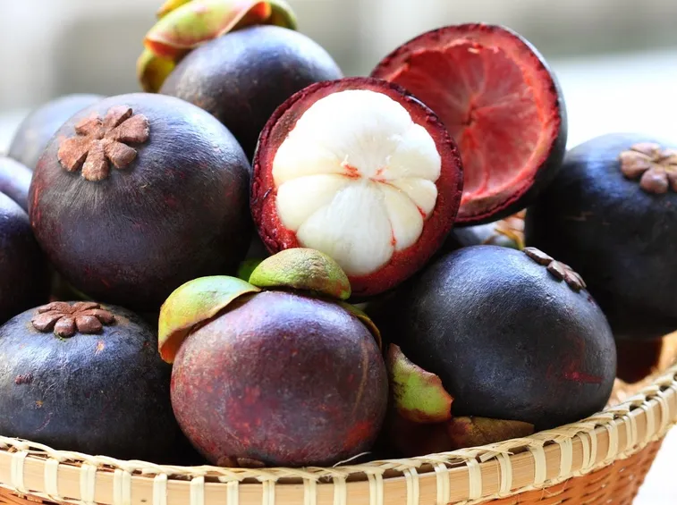 Mangostano