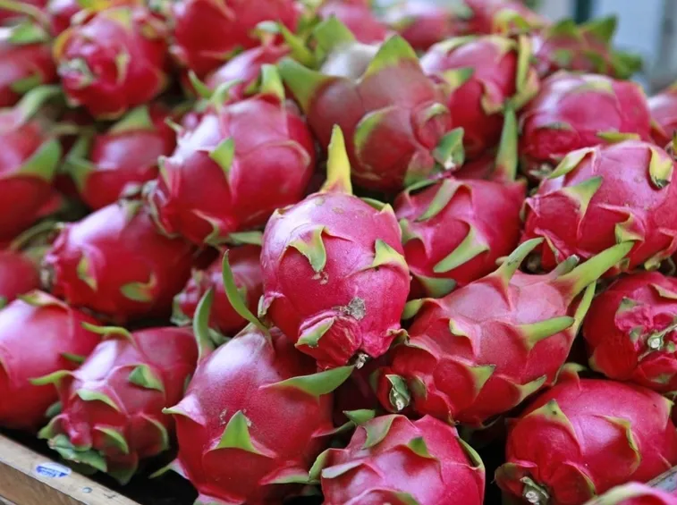 Pitaya