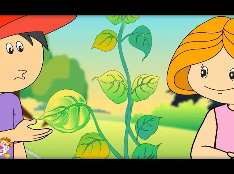 Immagine da video didattico