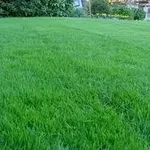 prato