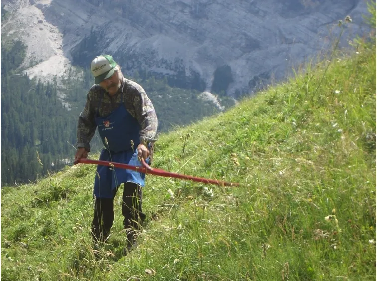 taglio erba