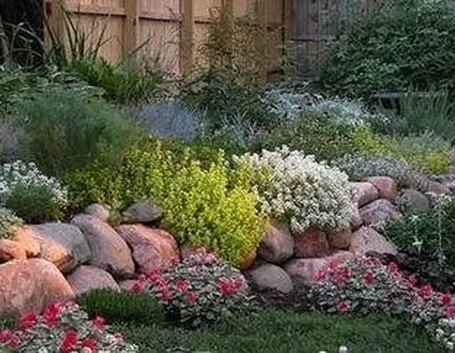 giardino roccioso
