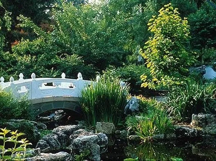 giardino cinese