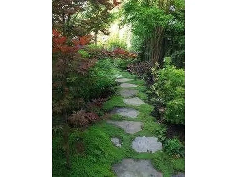camminamenti per giardino
