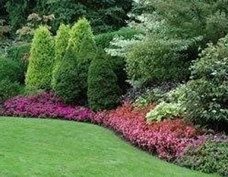 giardino
