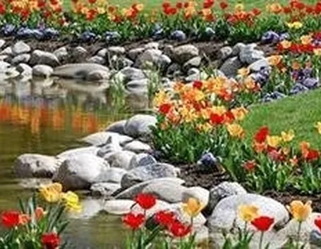 giardino roccioso