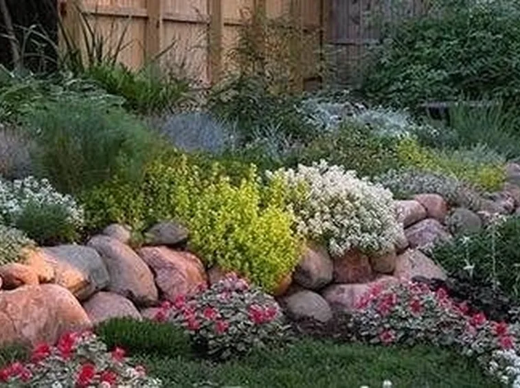 giardino roccioso