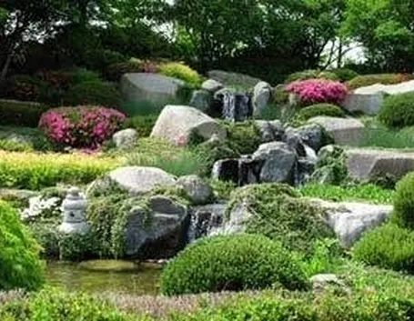 giardino roccioso