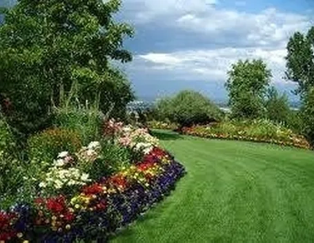giardino