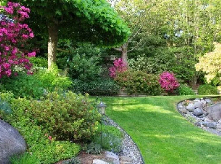 giardino