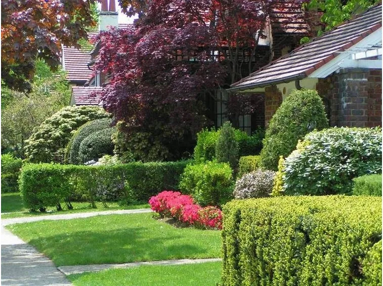 giardino