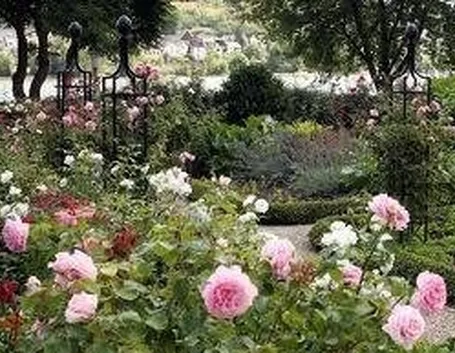 giardino