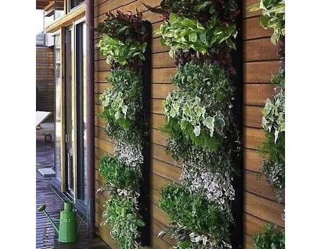 giardino verticale