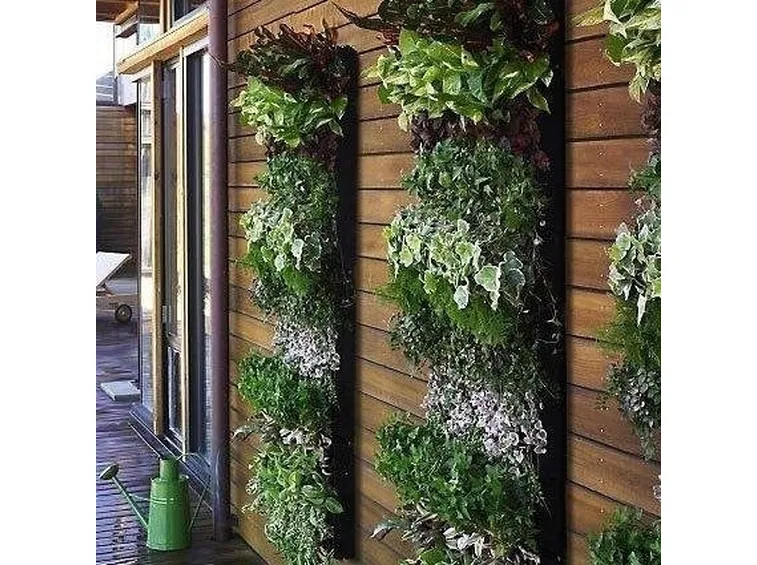 giardino verticale