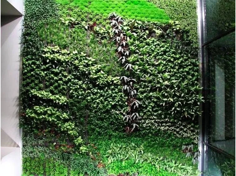 giardino verticale
