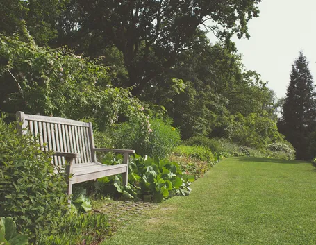 Giardino come curare