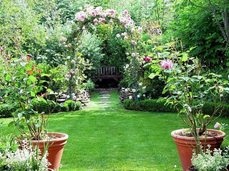 Giardino con rose