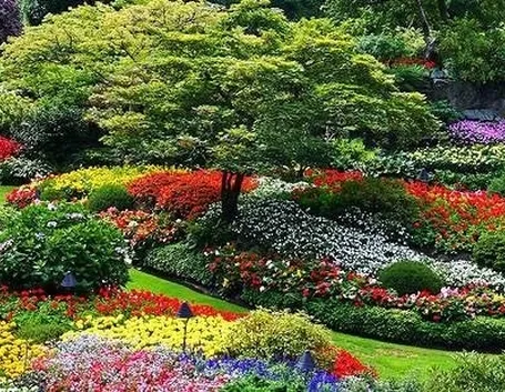giardino