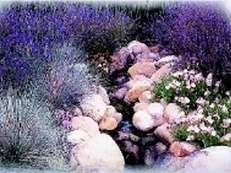 giardino roccioso
