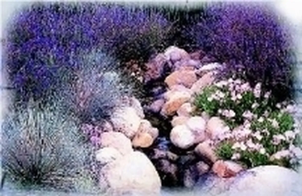 giardino roccioso