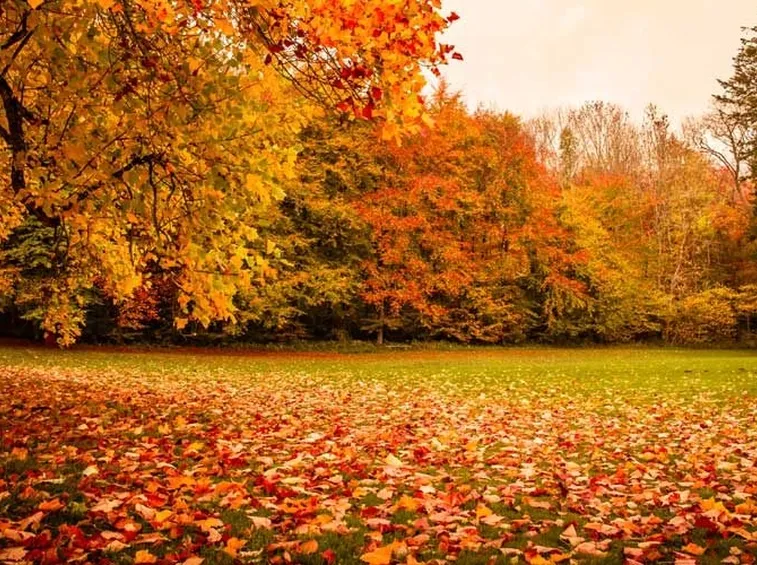 prato ottobre