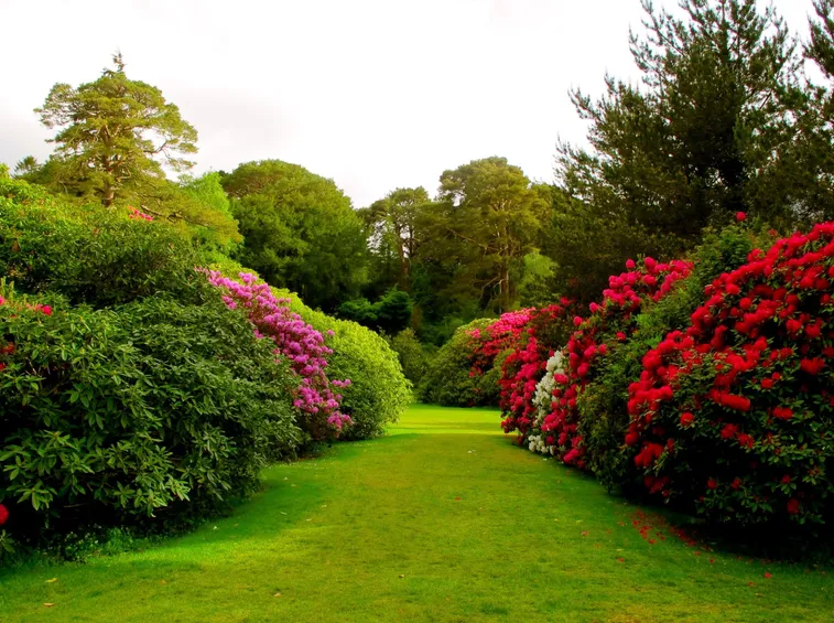 giardino in maggio