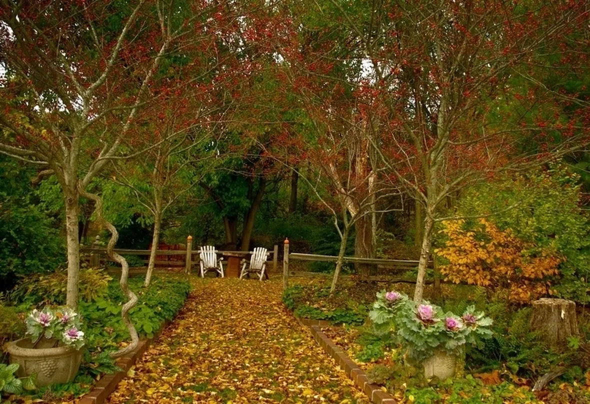 giardino novembre