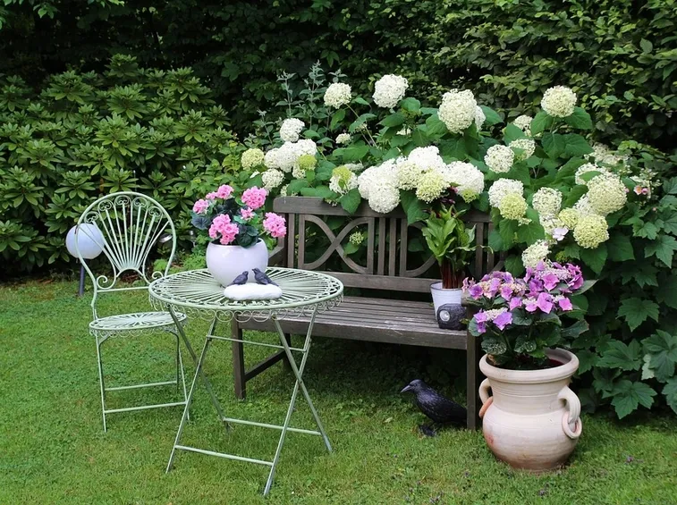 giardino agosto