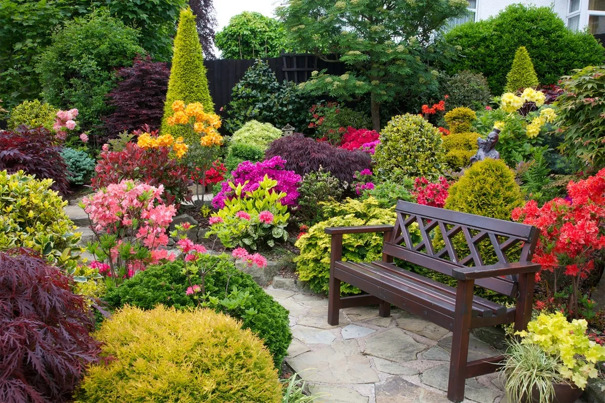 giardino giugno