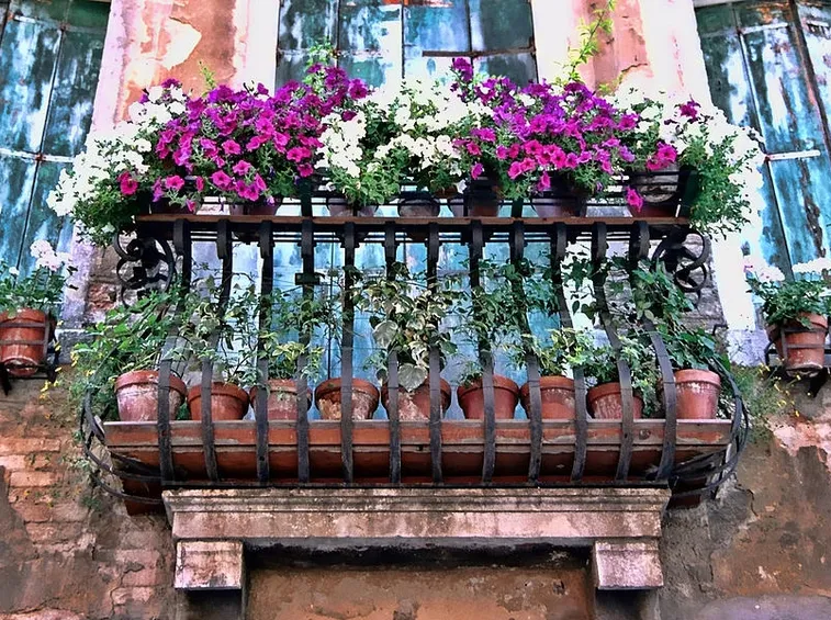terrazza con fiori