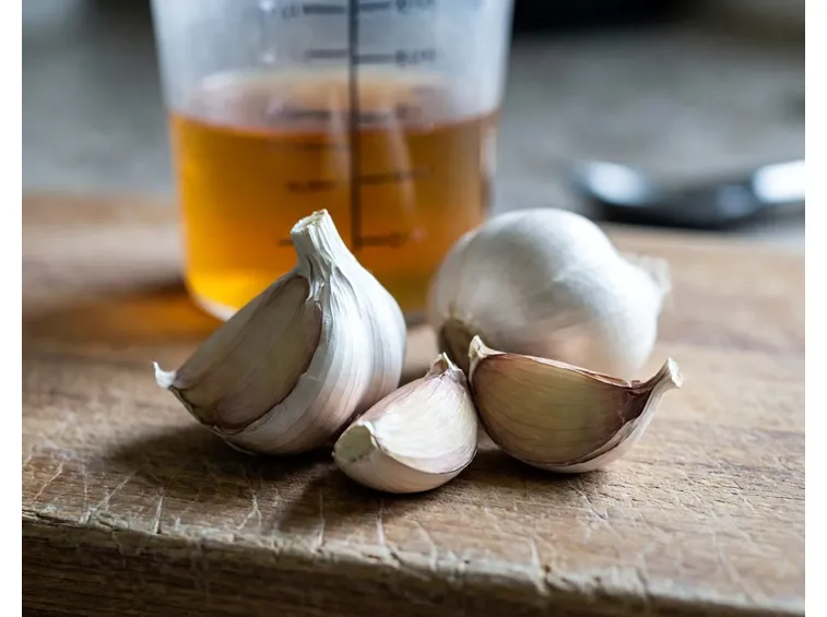 Pidocchi piante rimedi naturali: infuso d'aglio