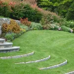 erba giardino
