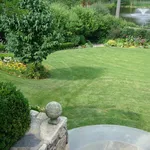Erba per giardino
