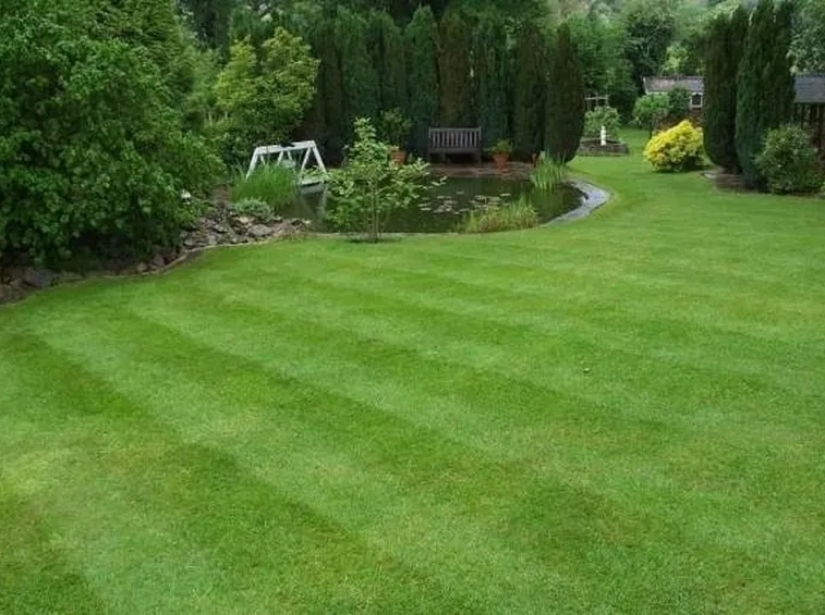 Erba per giardino