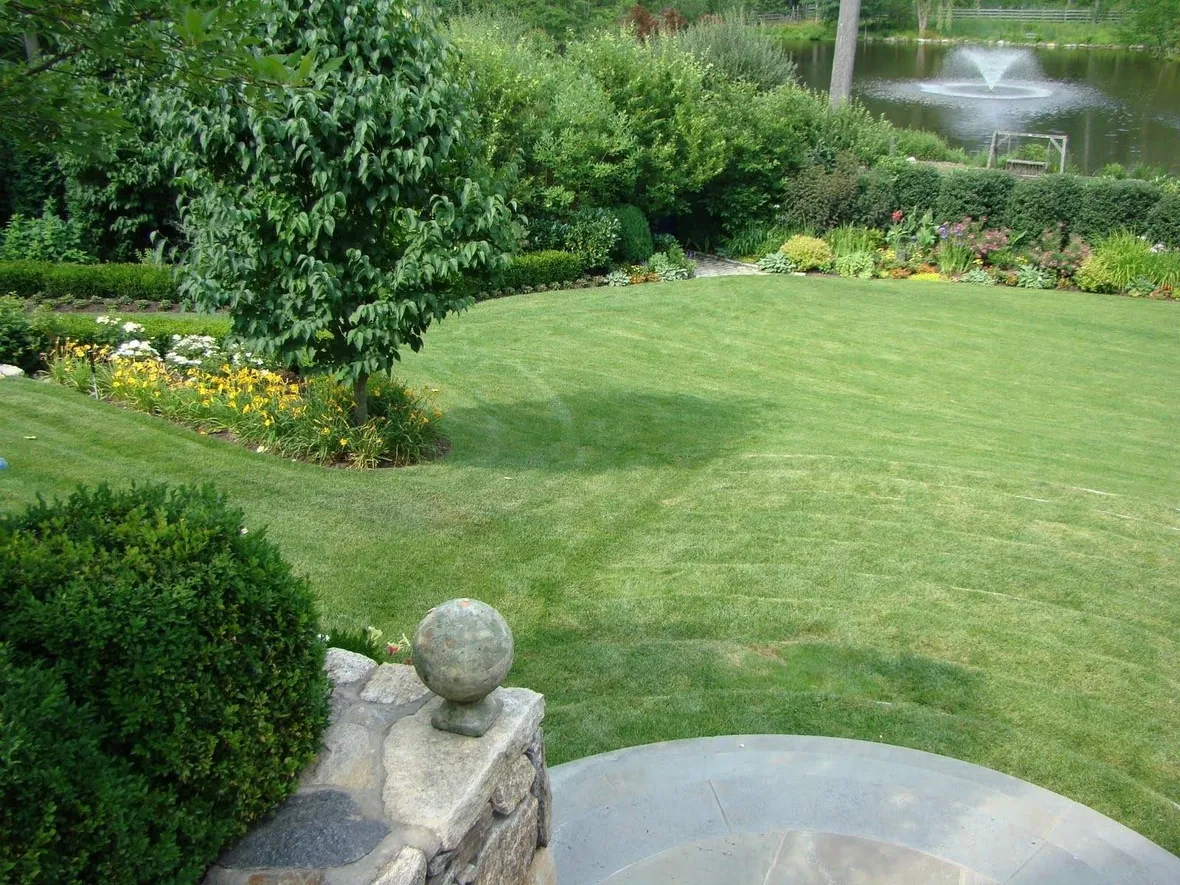 Erba per giardino
