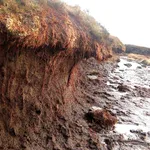 Deposito naturale di torba