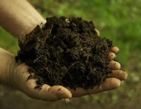 Tipologia concime organico