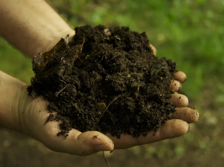 Fertilizzante biologico