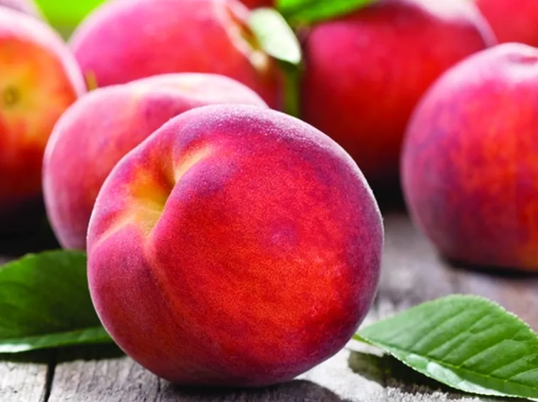Frutti dell'albero di pesco