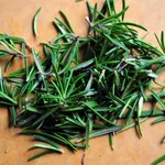 Il periodo ideale per potare la pianta del rosmarino è la primavera