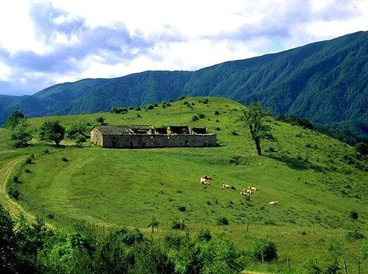 Una veduta del Parco di Campigna