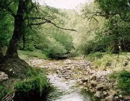 Parco nazionale Abruzzo, Lazio e Molise