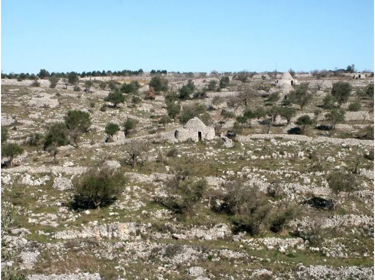 Scorcio del parco dell'Alta Murgia