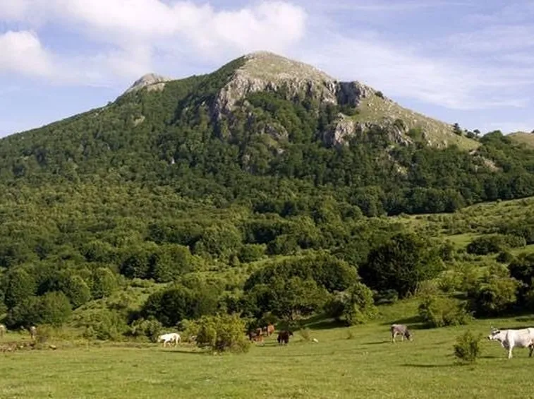 Parco dell'Appennino Lucano