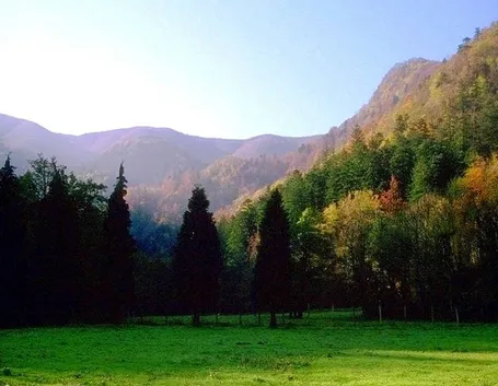 Monte Falterona