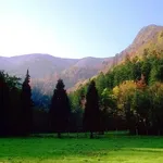 Monte Falterona