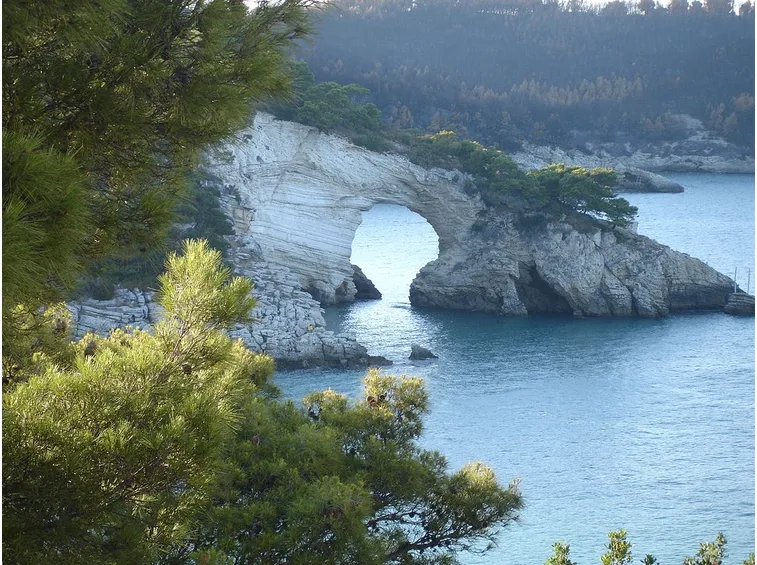 Scorcio del Parco Gargano