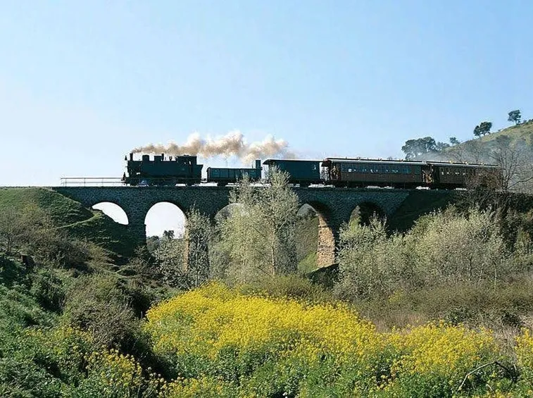 Trenino verde